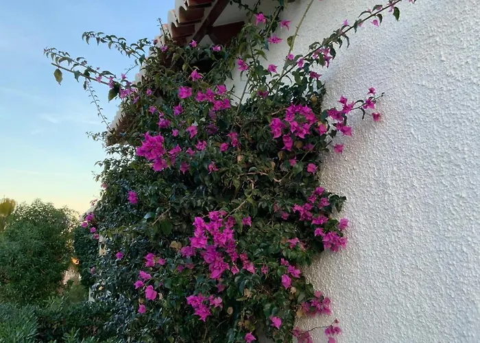 Casa Lila Jávea