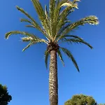 Casa Lila