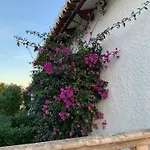 Casa Lila 자베아