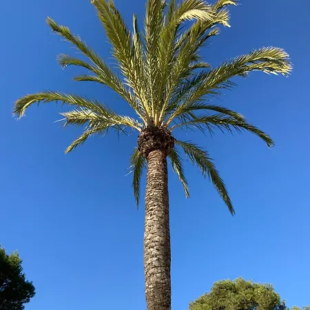 Casa Lila